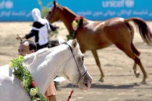 ظرفيت فراموش شده «اسب اصيل ايراني» در صنعت گردشگري