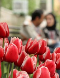 جوانان تا ۲۷ سالگی مجرد می‌مانند/ چرا جوانان ايراني از ازدواج فراری شده‌‌اند؟